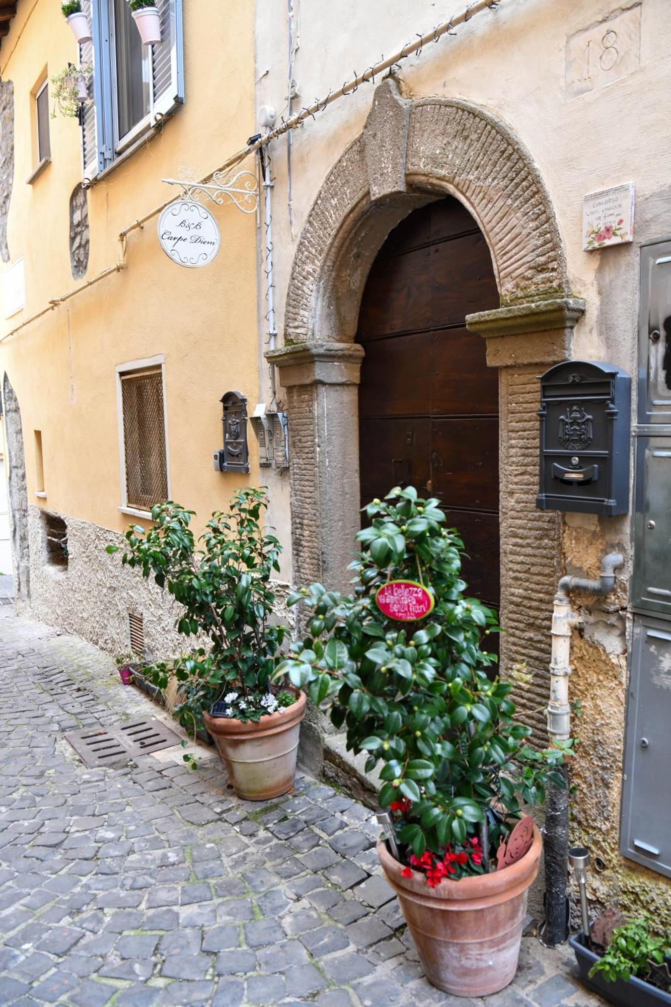 B&B Carpe Diem Vista Lago Castel Gandolfo Bagian luar foto